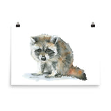 Raccoon Watercolor