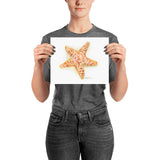 Sea Star Starfish Watercolor