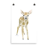 Deer Fawn Watercolor 2