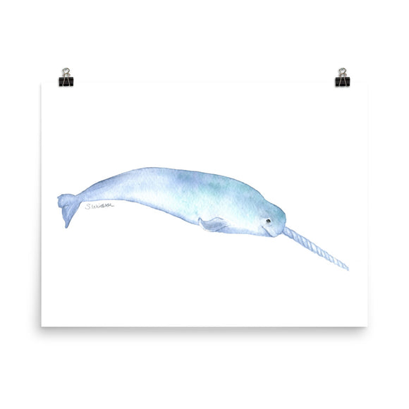 Narwhal Watercolor