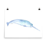Narwhal Watercolor