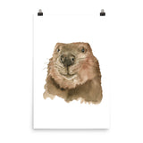 Baby Beaver Face Watercolor Poster