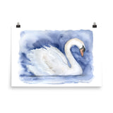 Swan Watercolor