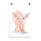 Pig Watercolor