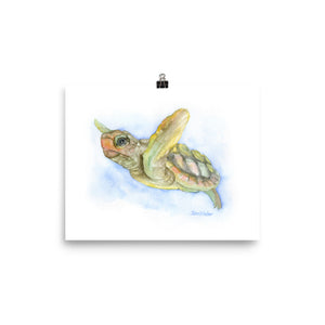 Sea Turtle Watercolor