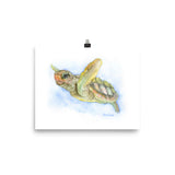 Sea Turtle Watercolor