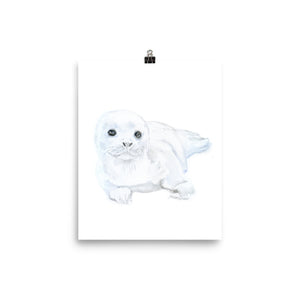 Baby Harp Seal Watercolor