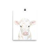 White Calf Watercolor Cow
