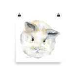 Fluffy Bunny Baby Watercolor