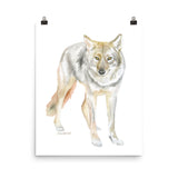 Coyote Watercolor Print