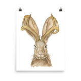 Jackalope Watercolor Painting Print