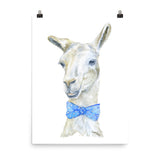 Llama with a Tie Watercolor