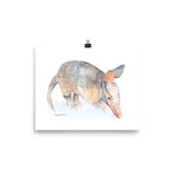 Armadillo Watercolor Print