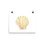 Clam Seashell Watercolor Print