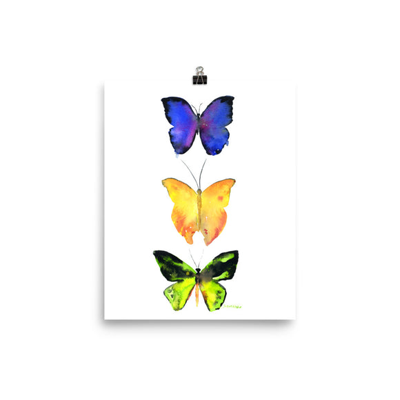 Three Butterflies Watercolor