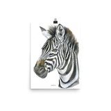 Zebra Face Watercolor