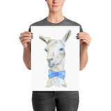 Llama with a Tie Watercolor