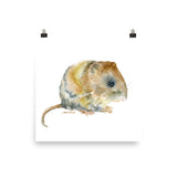 Vole Watercolor