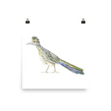 Roadrunner Watercolor Print