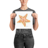 Sea Star Starfish Watercolor