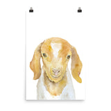 Nubian Goat Watercolor