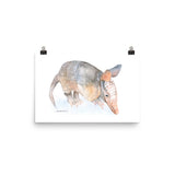 Armadillo Watercolor Print