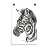 Zebra Face Watercolor