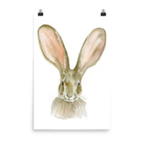 Jack Rabbit Watercolor