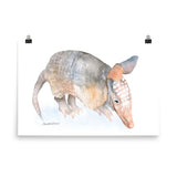 Armadillo Watercolor Print