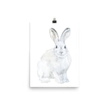 Arctic Rabbit Watercolor