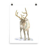 Christmas Caribou Watercolor Print