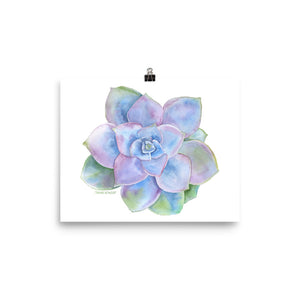Blue Succulent Watercolor