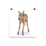 Baby Moose Calf Watercolor Print