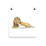 Lion and the Lamb Watercolor