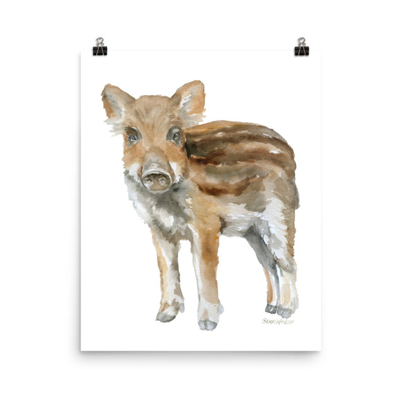 Baby Boar Watercolor