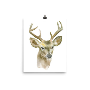 Mule Deer Buck Watercolor