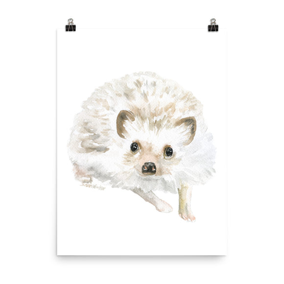 Hedgehog Watercolor 2