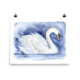 Swan Watercolor