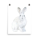 Arctic Rabbit Watercolor