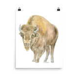 Bison Watercolor Print