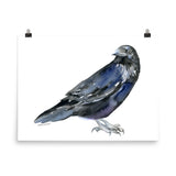Raven Watercolor Print