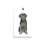 Black Labrador Puppy Watercolor