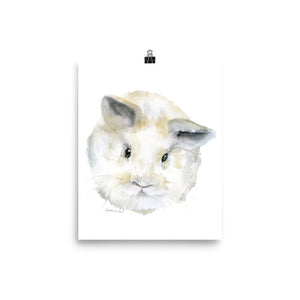 Fluffy Bunny Baby Watercolor