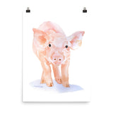 Pig Watercolor