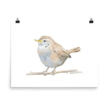 Wren Watercolor Print