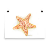 Sea Star Starfish Watercolor