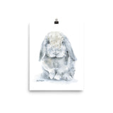 Mini Lop Rabbit Watercolor