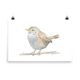 Wren Watercolor Print