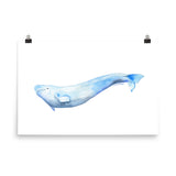 Beluga Whale Watercolor Print