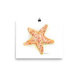 Sea Star Starfish Watercolor